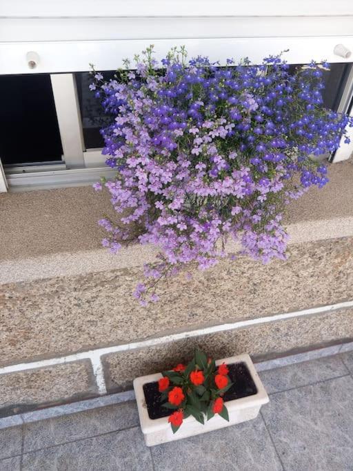 Precioso Apartamento En San Vicente De O Grove San Vicente do Grove Εξωτερικό φωτογραφία